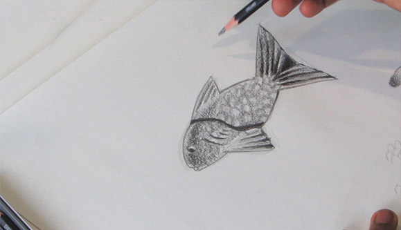  Drawing A Fish - Sparketh